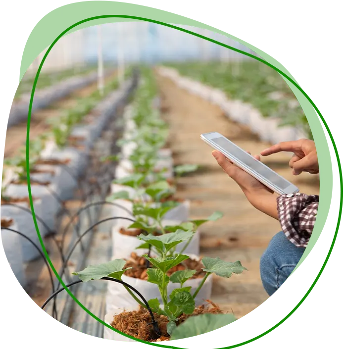 Eco-Farmland in Chennai